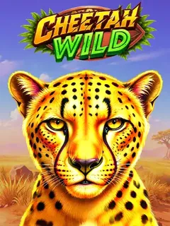 Cheetah Wild (Pragmatic Play)